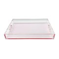 R16 Home Neon Light Pink Lucite Tray LT01-PINK